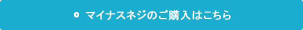 マイナスねじの購入はこちら