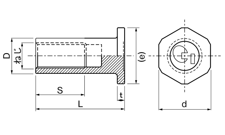 Pインサート(ジャパンライフ製 20.0 6.0