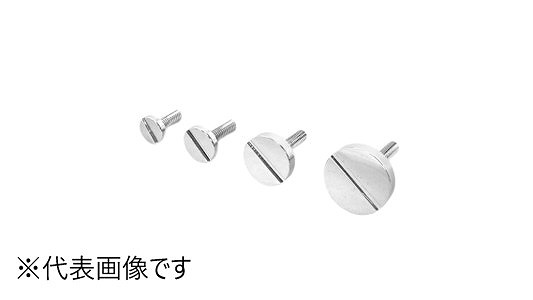 化粧ボルト　３１号　Ｄ２５