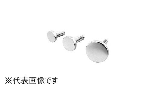化粧ボルト　８６号　Ｄ２０