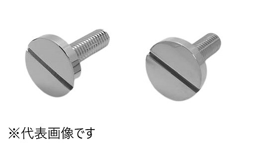 化粧ボルト　１３１号　Ｄ２５