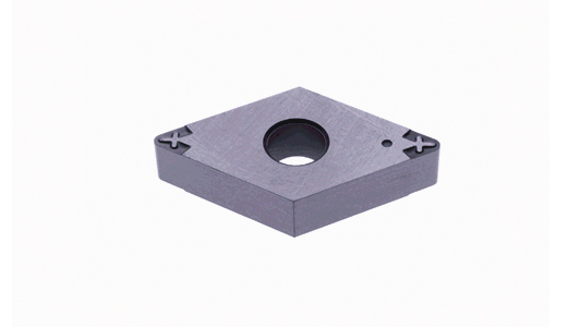 ＤＮＧＧ－０１：ＮＳ９５３０