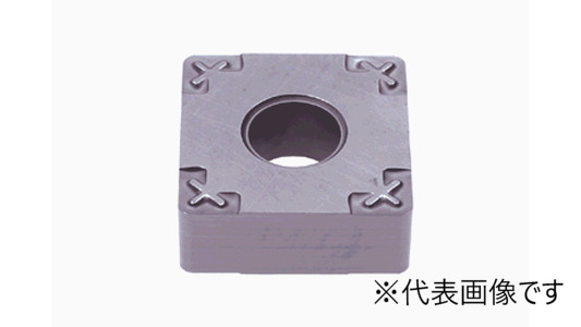 ＳＮＧＧ－０１：ＮＳ９５３０
