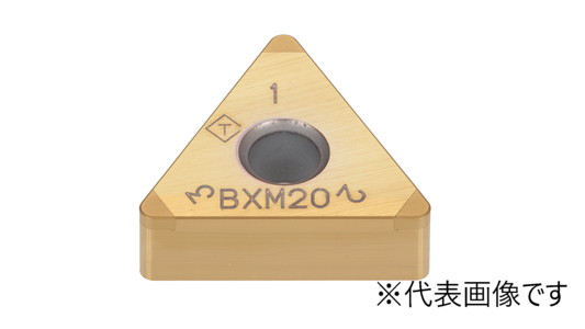 ＴＮＧＡ：ＬＸ１０