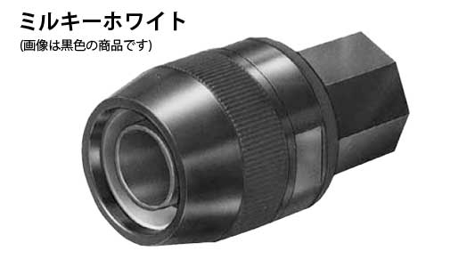 ＭＰＧＰー１２Ｍ