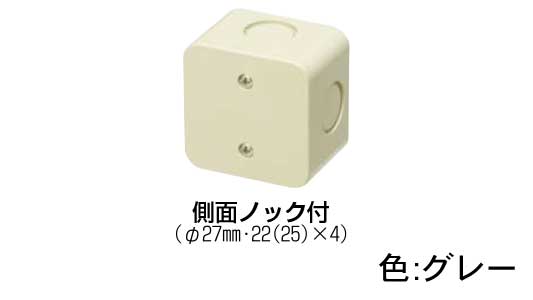 ＰＶＳーＮ