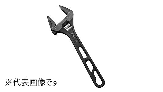 ライトモンキー　ギザ無し　５３