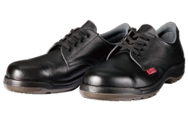 ＤＹＮＡＳＴＹ　Ｄ－７００１Ｎ