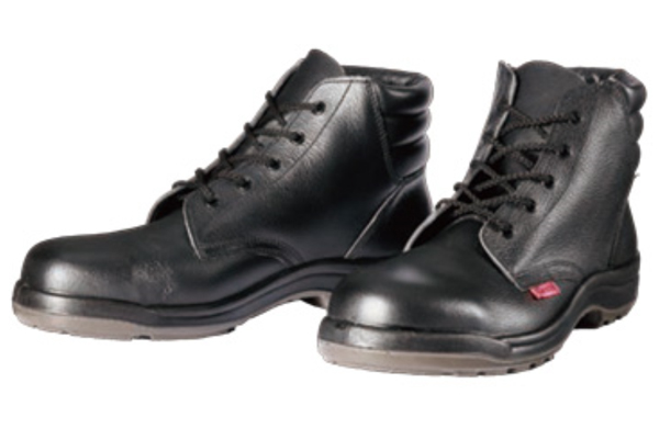ＤＹＮＡＳＴＹ　Ｄ－７００３Ｎ