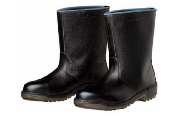 ＤＹＮＡＳＴＹ　Ｄ－５００６Ｎ