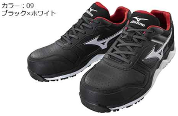 Ｆ１ＧＡ２００００９