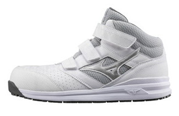 Ｆ１ＧＡ２２０００１