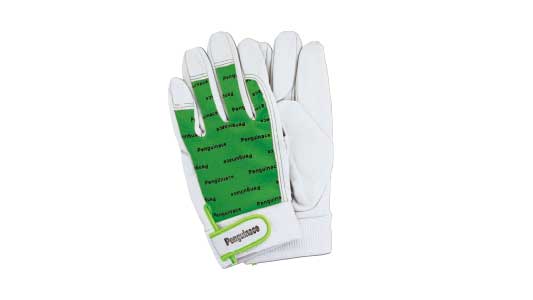 ペンギンＡ　エレカー（グリーン