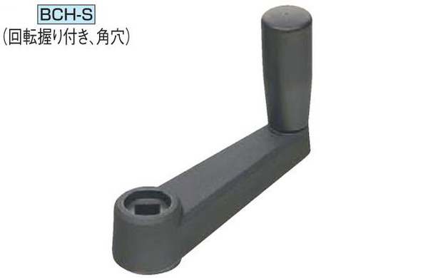 ＢＣＨ－Ｓ