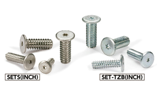 ＳＥＴ－ＴＺＢ