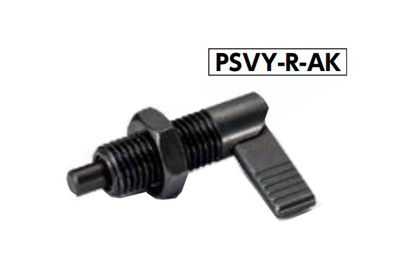 ＰＳＶＹーＲーＡＫ
