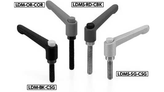 ＬＤＭ－＊Ｂ－ＳＧ－ＣＳＧ