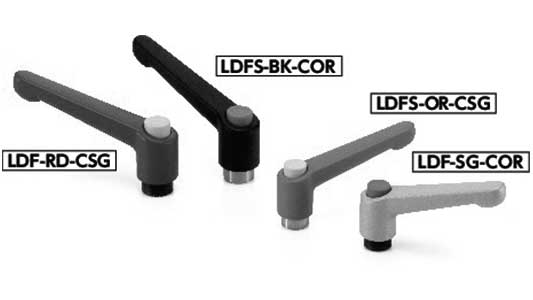 ＬＤＦ－＊－ＳＧ－ＣＢＫ