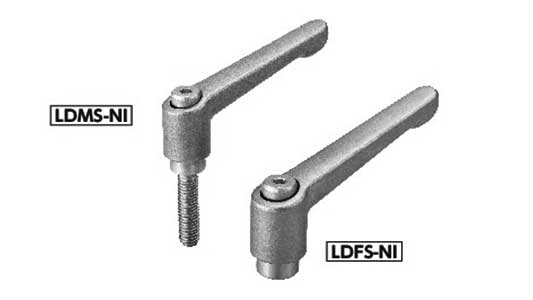 ＬＤＦＳ－＊－ＮＩ