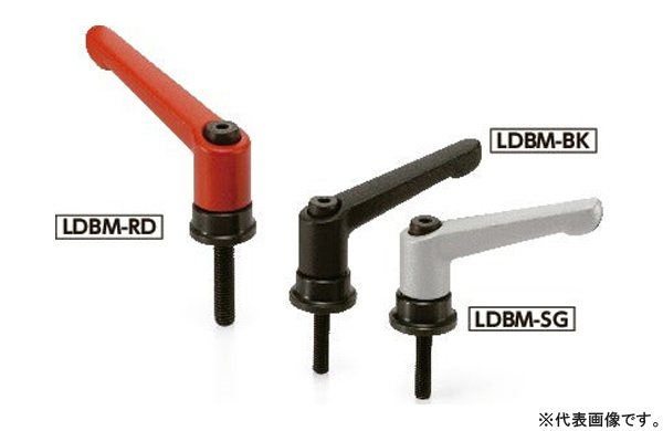 ＬＤＢＭ－ＲＤ