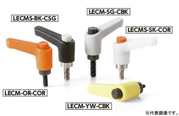 ＬＥＣＭ－ＳＧ－ＣＳＧ