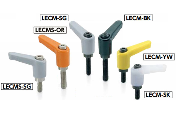 ＬＥＣＭＳ－ＳＧ