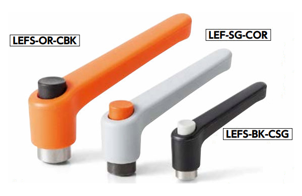 ＬＥＦＳ－ＳＧ－ＣＢＫ