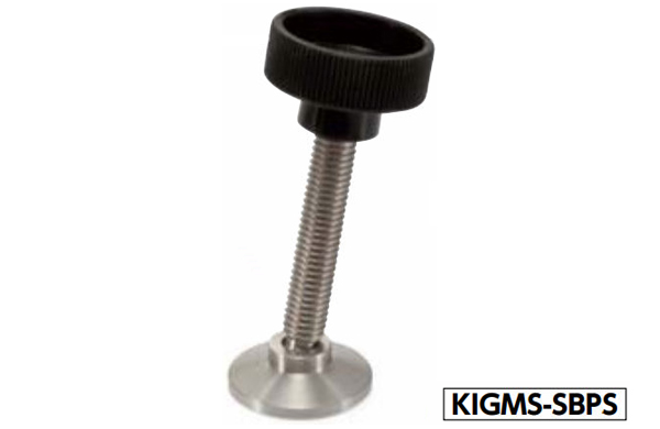 ＫＩＧＭＳ－ＳＢＰＳ２１