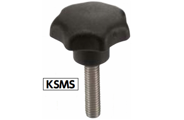 ＫＳＭＳ